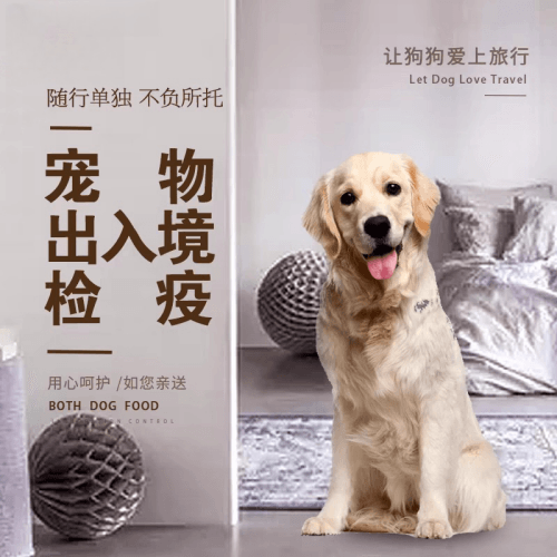 基隆市宠物托运到哥伦比亚猫狗宠物入境规定和