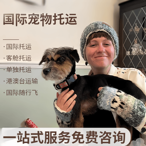 基隆市国际宠物托运到阿根廷宠物入境规定和要