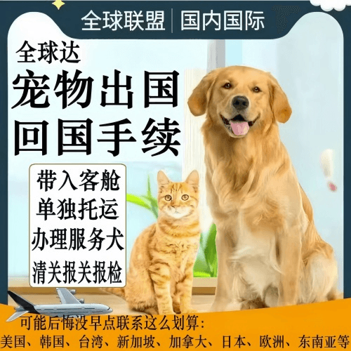 基隆市宠物托运到柬埔寨宠物入境规定和要求