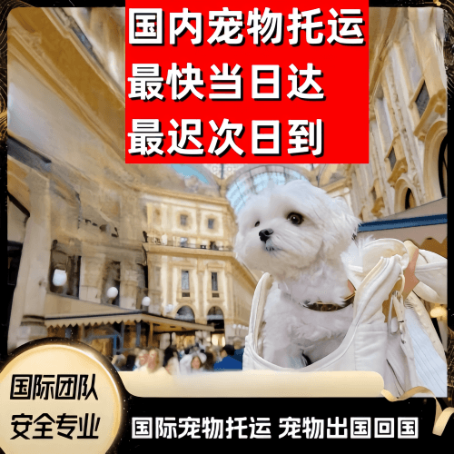 基隆市到澳大利亚（澳洲）宠物入境规定和要求