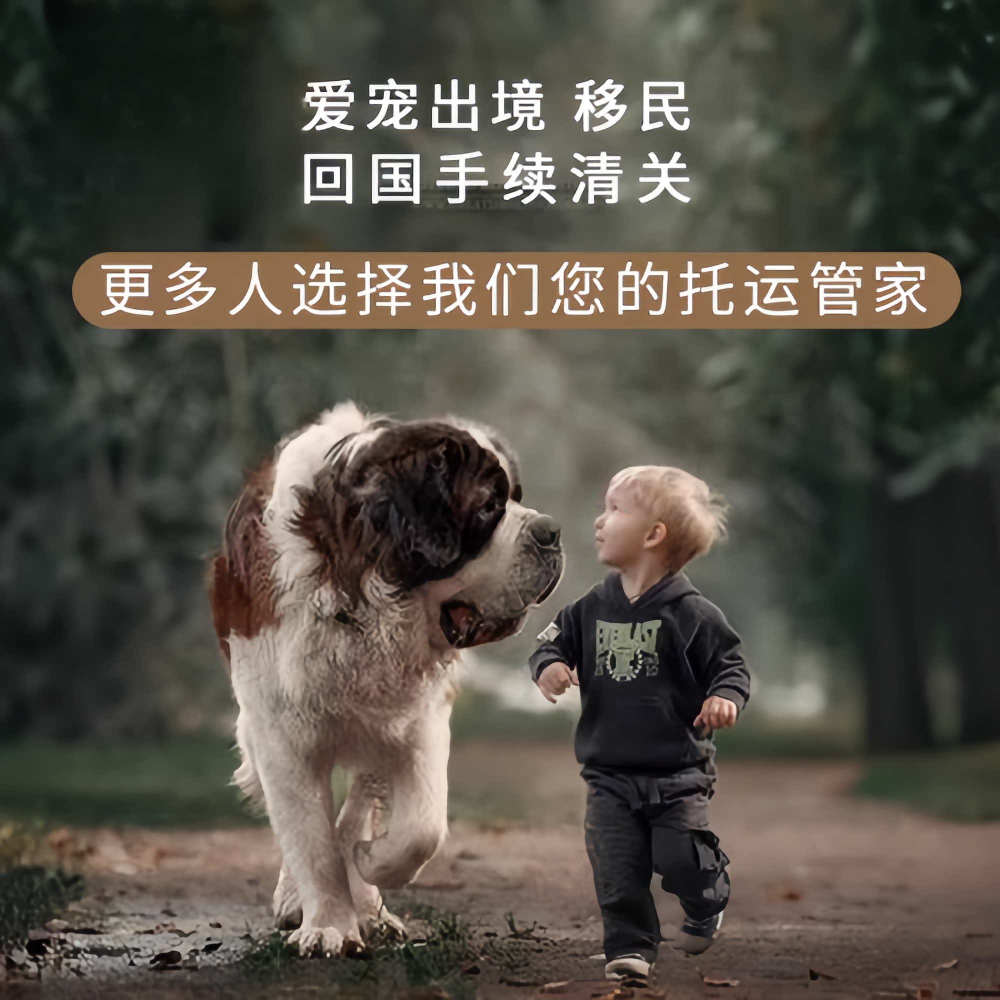 满财基隆市宠物全球达宠物托运在遵守入境目的地政策的条件