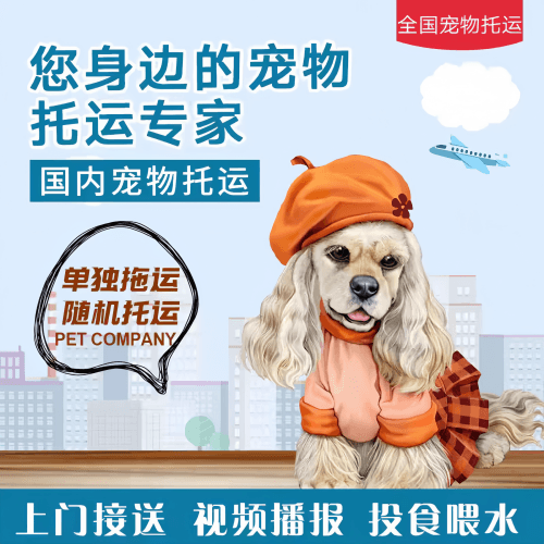满财基隆市宠物全球达宠物托运作为专业的宠物运输代理机构